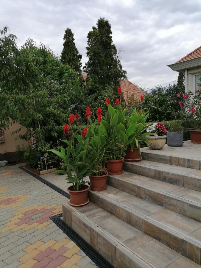 Kaktuszvirag Apartmanhaz Hajdúszoboszló Buitenkant foto