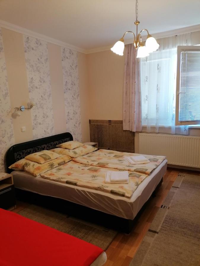 Kaktuszvirag Apartmanhaz Hajdúszoboszló Buitenkant foto